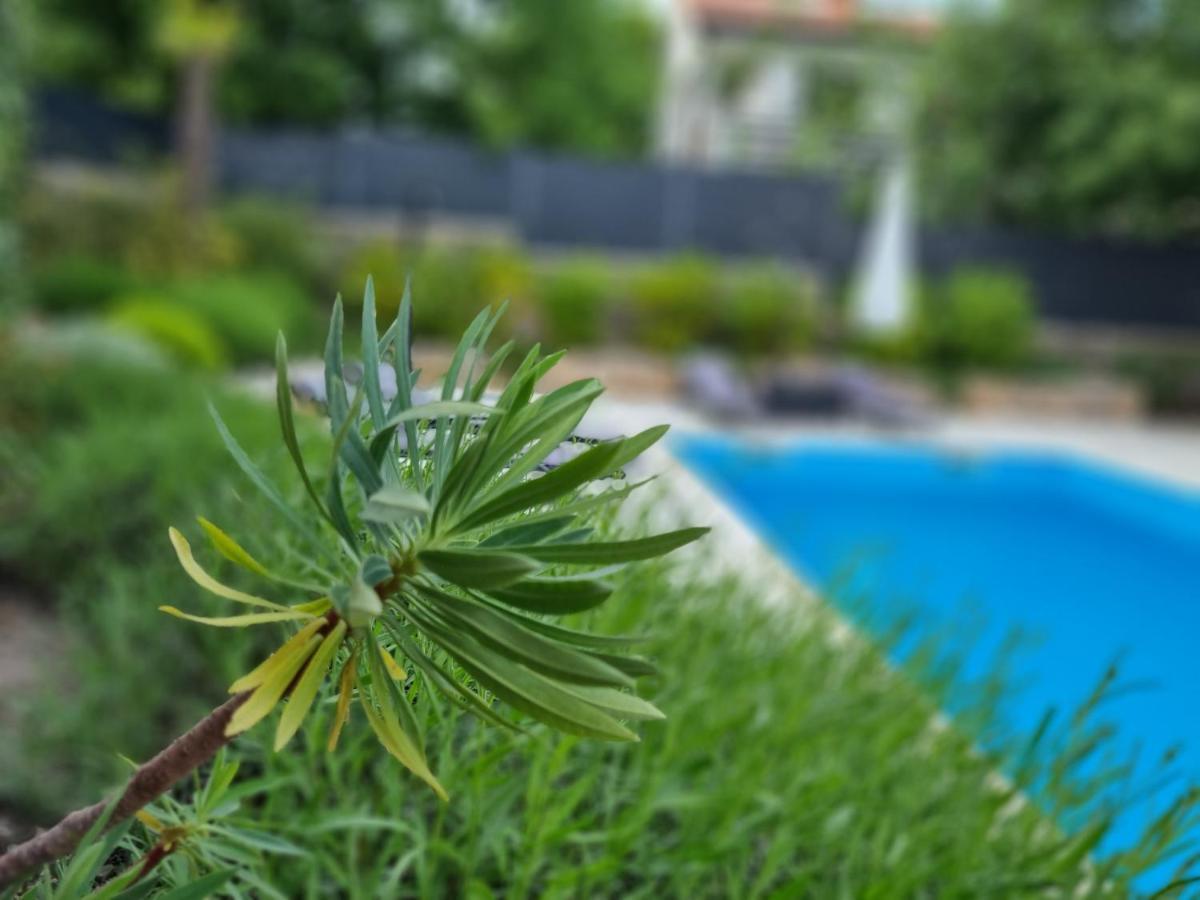 Villa Bellina Muraj Kornić Εξωτερικό φωτογραφία